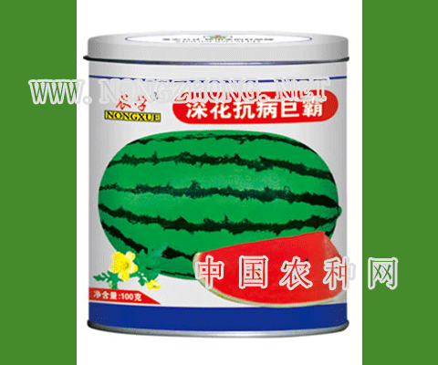 深花抗病巨霸西瓜种子